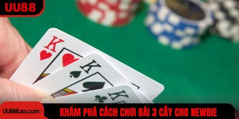 Khám phá từng ngóc ngách cách chơi bài 3 cây cho newbie