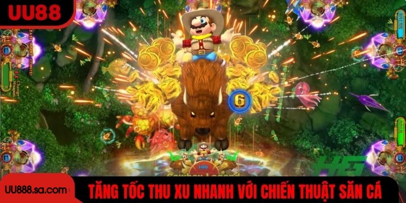 Tăng tốc thu xu nhanh với chiến thuật săn cá thông minh
