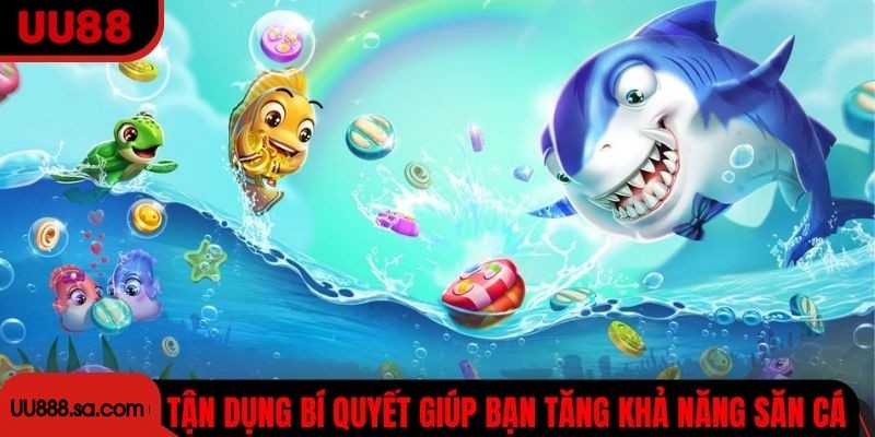 Tận dụng các bí quyết giúp bạn tăng khả năng săn cá hơn