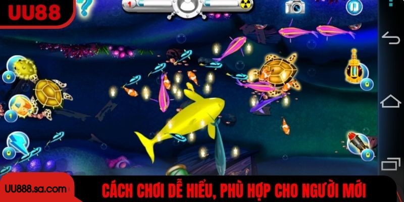 Cách chơi dễ hiểu, phù hợp cho người mới tham gia
