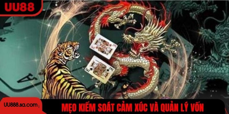 Mẹo kiểm soát cảm xúc và quản lý vốn khi tham gia Rồng Hổ
