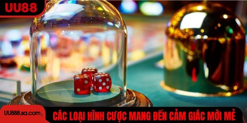 Các loại hình cược tài xỉu mang đến nhiều cảm giác mới mẻ