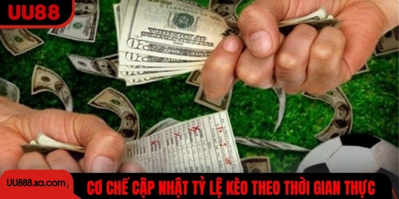 Cơ chế cập nhật tỷ lệ kèo theo thời gian thực chi tiết