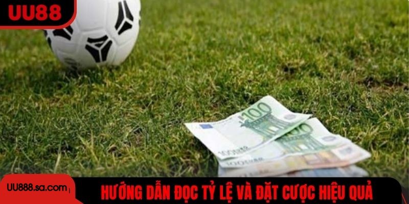 Hướng dẫn đọc tỷ lệ và đặt cược kèo rung hiệu quả