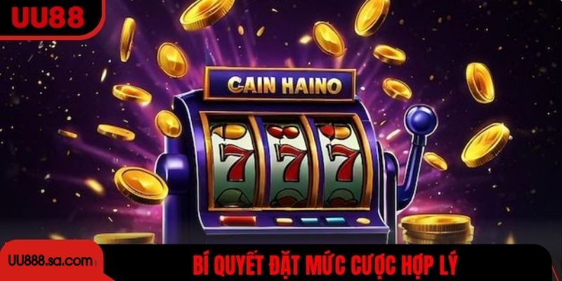 Bí quyết đặt mức cược hợp lý để tăng cơ hội thắng