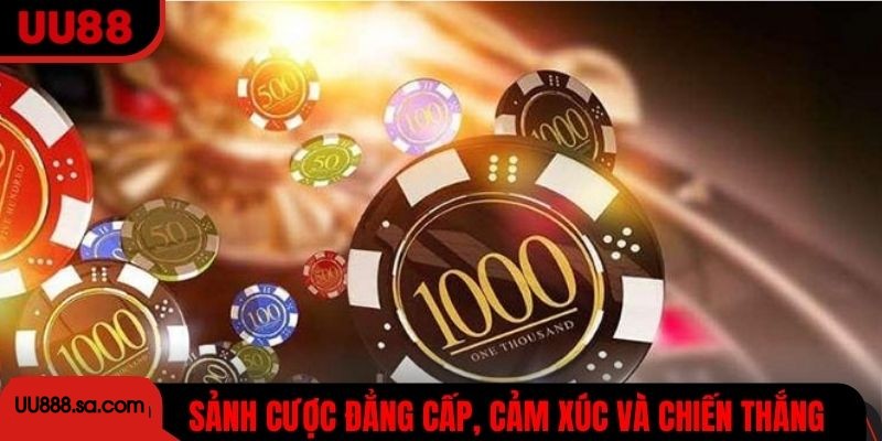 Sảnh cược đẳng cấp, nơi cảm xúc và chiến thắng giao hòa